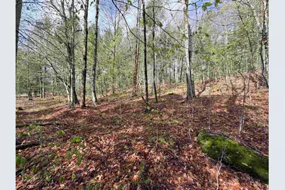 0 N Old Branch Road, Antrim, NH 03440 - Photo 2