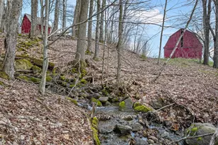 68 Rowell Rd, Lancaster, NH 03584 - Photo 50
