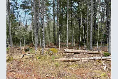 0 Cuttyhunk Road #7, Thornton, NH 03223 - Photo 6