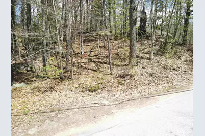 12 Eidelweiss Drive, Madison, NH 03849 - Photo 8