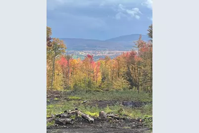 922 Crawford Trail Road, Westfield, VT 05874 - Photo 16