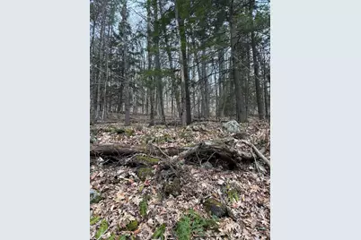00 Coon Hill Road, Castleton, VT 05735 - Photo 2