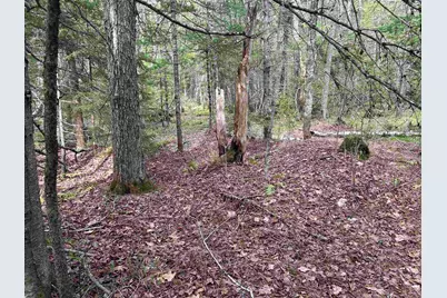 00 Boynton Road, Londonderry, VT 05148 - Photo 20