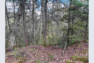 00 Boynton Road, Londonderry, VT 05148 - Photo 14