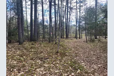 0 Riverwood Circle #12, Effingham, NH 03882 - Photo 16