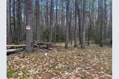0 Riverwood Circle #12, Effingham, NH 03882 - Photo 10