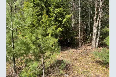 0 Riverwood Circle #12, Effingham, NH 03882 - Photo 22