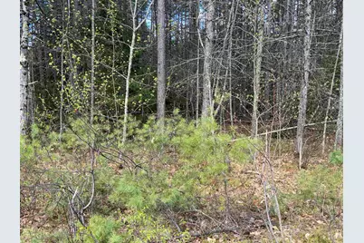 0 Riverwood Circle #12, Effingham, NH 03882 - Photo 26