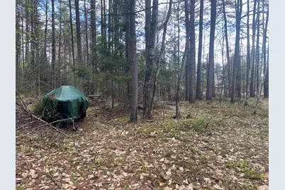 0 Riverwood Circle #12, Effingham, NH 03882 - Photo 12