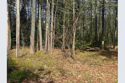0 Riverwood Circle #12, Effingham, NH 03882 - Photo 34