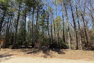 Lot 14 Partridgeberry Circle, Tuftonboro, NH 03816 - Photo 1