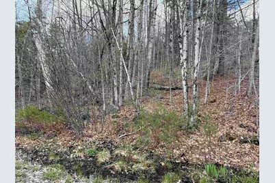 Tunnel Road, Grafton, NH 03240 - Photo 14