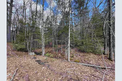 Tunnel Road, Grafton, NH 03240 - Photo 12