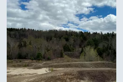 Lot 7 Bog Road, Enfield, NH 03748 - Photo 2