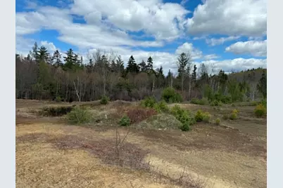 Lot 7 Bog Road, Enfield, NH 03748 - Photo 4