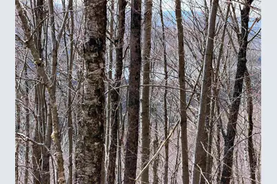 493 Wheeler Mountain Road, Barton, VT 05822 - Photo 24