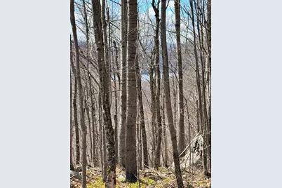 493 Wheeler Mountain Road, Barton, VT 05822 - Photo 18
