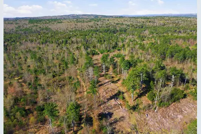 87 Bear Hill Road #Map 8, Lot 28, Chichester, NH 03258 - Photo 18