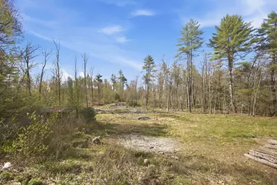 87 Bear Hill Road #Map 8, Lot 28, Chichester, NH 03258 - Photo 4