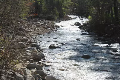 90 Chandler Mountain Road, Bartlett, NH 03845 - Photo 28