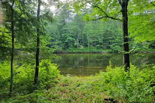 56 Bryant Dr, Conway, NH 03818 - Photo 4