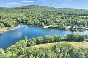 65 Nelson Rd, Harrisville, NH 03450 - Photo 48
