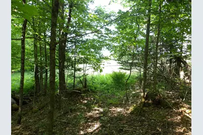 4 &amp; 5 Forest Lane, Lyndon, VT 05851 - Photo 6
