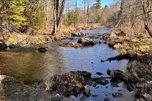378 Silver St, Middleton, NH 03887 - Photo 58