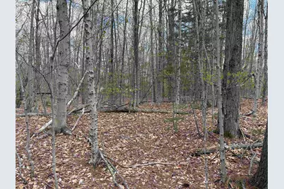 0 East Hill Road, Andover, VT 05143 - Photo 4
