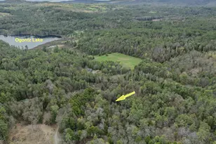 99 Wetherbee Rd, Lyman, NH 03585 - Photo 52