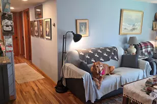 7 Laurel Cir, Campton, NH 03223 - Photo 28