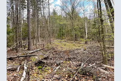 Tm 413 L 99 King Road, Alexandria, NH 03222 - Photo 32