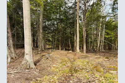 Tm 413 L 99 King Road, Alexandria, NH 03222 - Photo 36