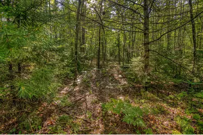38 F Lang Road, Bath, NH 03740 - Photo 16