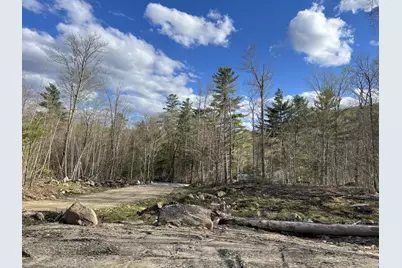 244 Rowentown Road Lot #1, Wentworth, NH 03282 - Photo 2