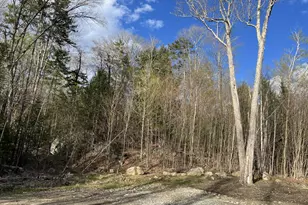 244 Rowentown Rd, Wentworth, NH 03282 - Photo 1