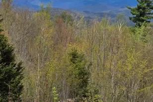 15 Antler Rd, Campton, NH 03223 - Photo 40