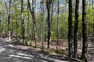 00 Poor Farm Rd, Weare, NH 03281 - Photo 1