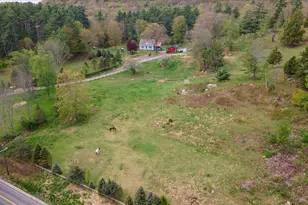 295 Manning Hill Rd, Winchester, NH 03470 - Photo 54