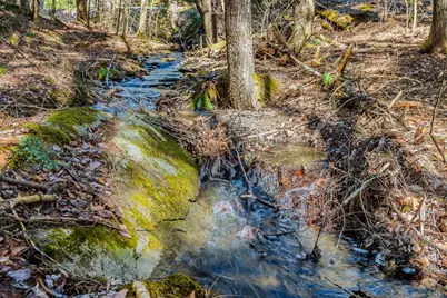 5209 Willard Road, Hartford, VT 05059 - Photo 4