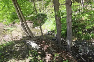 110 Valley St, Springfield, VT 05156 - Photo 42