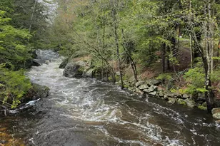 196 Clothespin Bridge Rd, Webster, NH 03303 - Photo 4