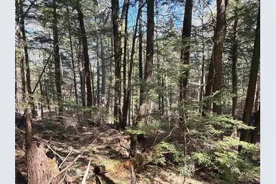 R29L9 Roxbury #Lot 9, Meredith, NH 03253 - Photo 22