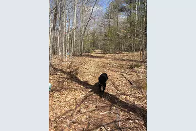 R29L9 Roxbury #Lot 9, Meredith, NH 03253 - Photo 16