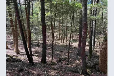 R29L9 Roxbury #Lot 9, Meredith, NH 03253 - Photo 26
