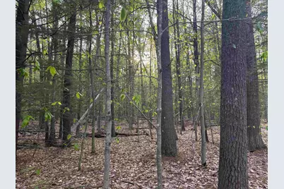 Lot 80 Currier Road, Candia, NH 03034 - Photo 2