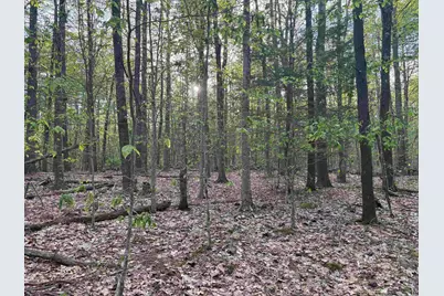 Lot 80 Currier Road, Candia, NH 03034 - Photo 8