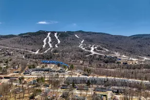 14 Hillside Cir, Lincoln, NH 03251 - Photo 50