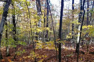 12-10 Boulder Dr, Campton, NH 03223 - Photo 1