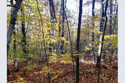 12-10 Boulder Drive, Campton, NH 03223 - Photo 2